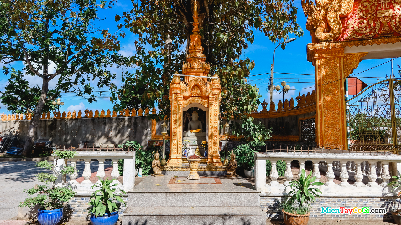 Tượng Phật Thích Ca dưới các hàng cổ thụ bên trong khuôn viên chùa Pothisomron