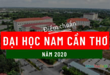 Điểm chuẩn đại học Nam Cần Thơ 2020 | Xét theo hình thức học bạ đợt 1 Điểm chuẩn đại học Nam Cần Thơ 2020 NCTU