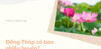 Đồng Tháp có bao nhiêu huyện? Chi tiết các đơn vị hành chính hiện nay Đồng Tháp có bao nhiêu huyện