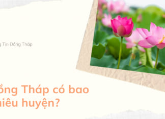 Đồng Tháp có bao nhiêu huyện? Chi tiết các đơn vị hành chính hiện nay Đồng Tháp có bao nhiêu huyện