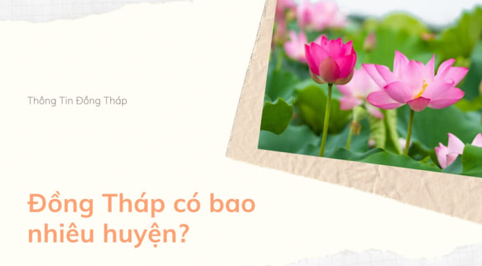 Đồng Tháp có bao nhiêu huyện? Chi tiết các đơn vị hành chính hiện nay Đồng Tháp có bao nhiêu huyện