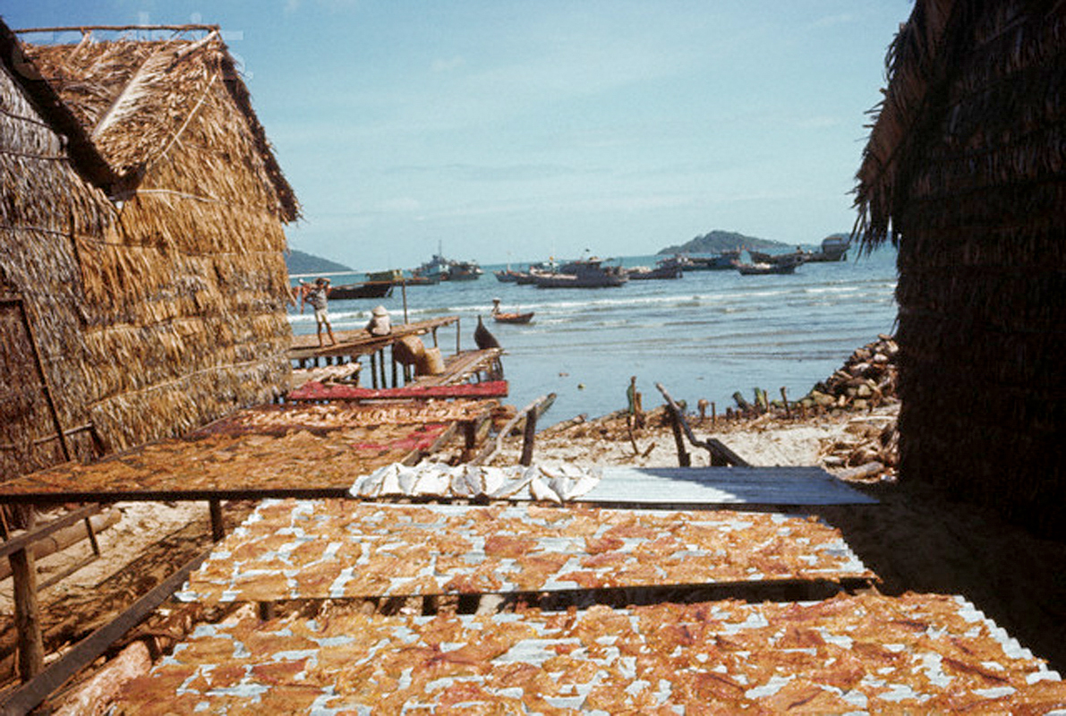 Phơi khô ở 1 làng chày đảo Phú Quốc năm 1968