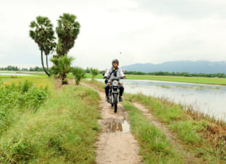 Cây Thốt Nốt Trái Tim ở An Giang | Hướng dẫn địa chỉ đường đi chi tiết Khách du lịch check in cây thốt nốt trái tim An Giang