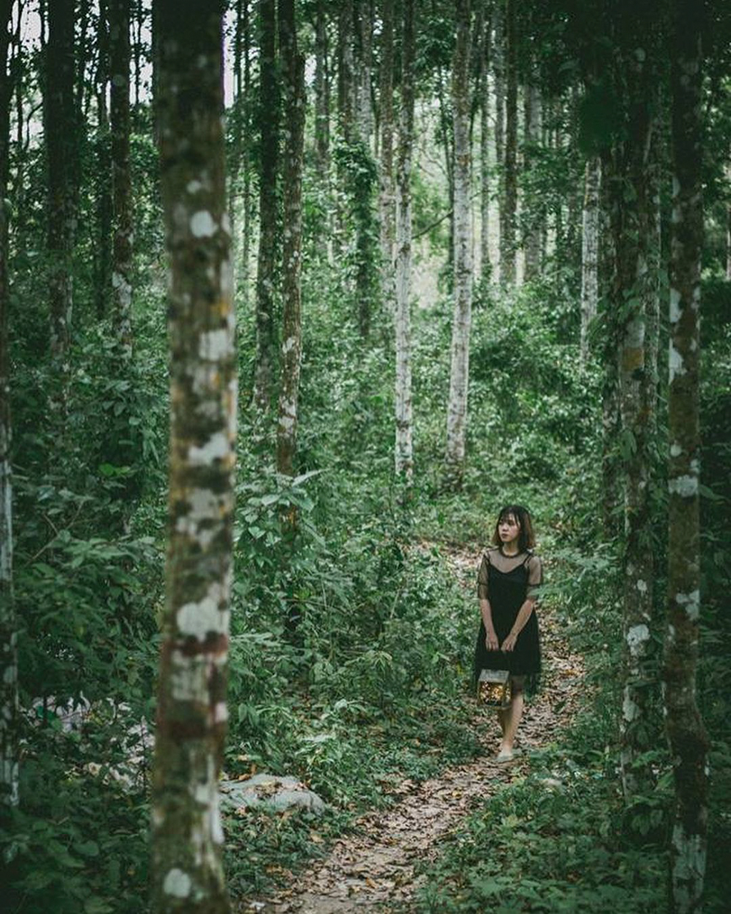 Phong cách có phần âm u khi chụp ảnh ở rừng cây