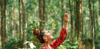 Rừng Cây Sao Tri Tôn An Giang | Hướng dẫn đường đi | Review hình ảnh Rừng cây sao Tri Tôn An Giang