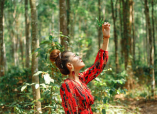 Rừng Cây Sao Tri Tôn An Giang | Hướng dẫn đường đi | Review hình ảnh Rừng cây sao Tri Tôn An Giang