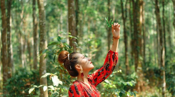 Rừng Cây Sao Tri Tôn An Giang | Hướng dẫn đường đi | Review hình ảnh Rừng cây sao Tri Tôn An Giang