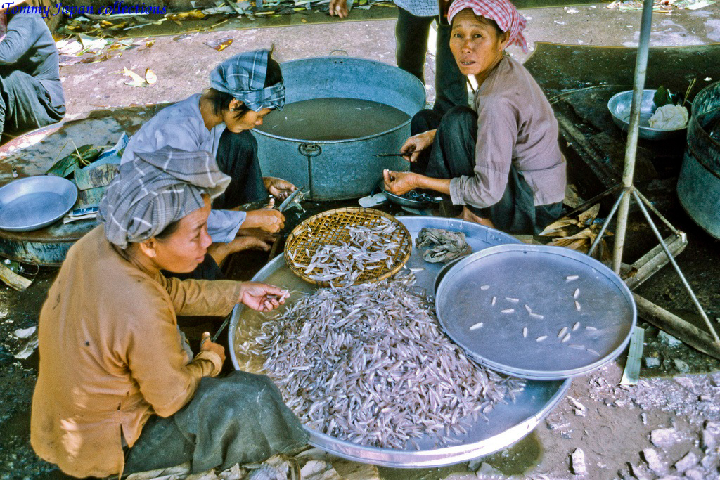 Cá cơm ở chợ Mỹ Tho năm 1969 | Photo by Lance Cromwell