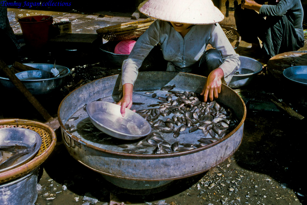 Cá sặc đồng chợ Mỹ Tho năm 1969 | Photo by Lance Cromwell