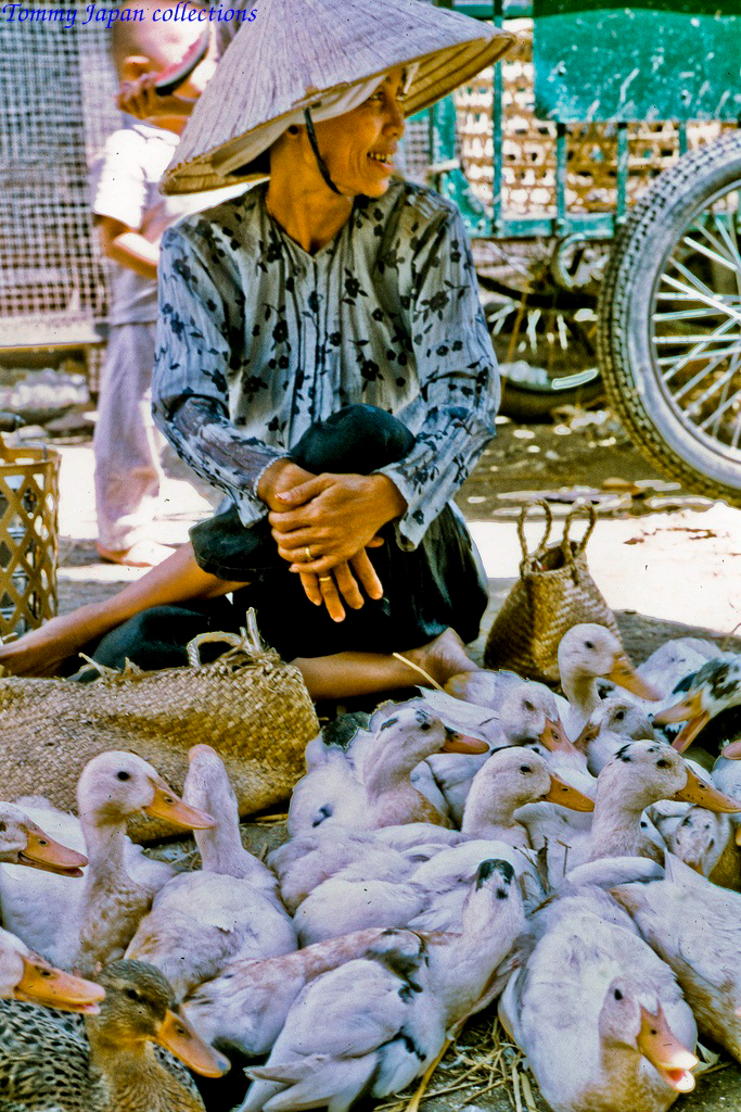 Bán vịt ở chợ Mỹ Tho năm 1969 | Photo by Lance Cromwell