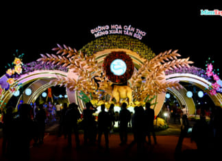 Đường hoa Cần Thơ 2021 ở đâu | Có gì đặc biệt | Review A-Z Đường hoa Cần Thơ 2021 đón xuân Tân Sửu