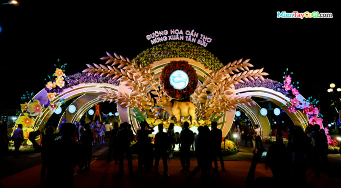 Đường hoa Cần Thơ 2021 ở đâu | Có gì đặc biệt | Review A-Z Đường hoa Cần Thơ 2021 đón xuân Tân Sửu