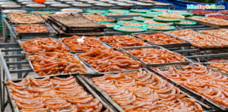 Lò Mứt Miền Tây Truyền Thống 20 Năm Tuổi | Lò sỉ lẻ mứt chất lượng Lò mứt miền Tây