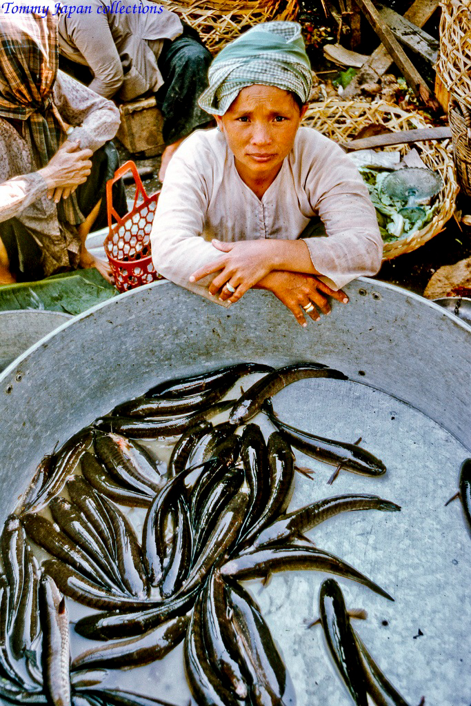 Người bán cá lóc chợ Mỹ Tho năm 1969 | Photo by Lance Cromwell