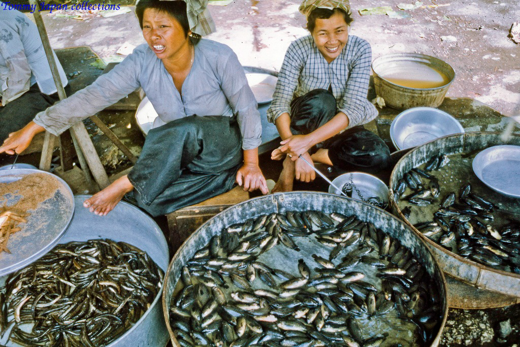 Cô bán cá ở chợ Mỹ Tho năm 1969 | Photo by Lance Cromwell