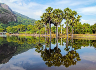 Hồ Soài So An Giang | Đường đi và hướng dẫn du lịch A-Z Thiên nhiên yên bình ở Hồ Soài So An Giang