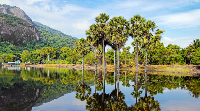 Hồ Soài So An Giang | Đường đi và hướng dẫn du lịch A-Z Thiên nhiên yên bình ở Hồ Soài So An Giang