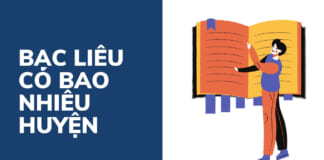 Tỉnh Bạc Liêu có bao nhiêu huyện xã? Đơn vị hành chính chi tiết Bạc Liêu có bao nhiêu huyện