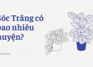 Sóc Trăng có bao nhiêu huyện xã | Đơn vị hành chính chi tiết Sóc Trăng có bao nhiêu huyện
