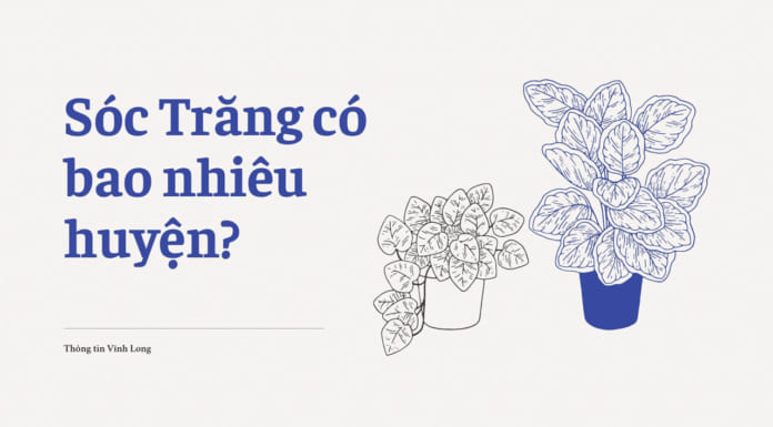 Sóc Trăng có bao nhiêu huyện xã | Đơn vị hành chính chi tiết Sóc Trăng có bao nhiêu huyện