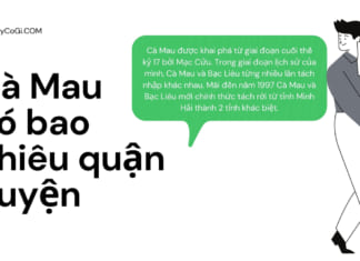 Cà Mau có bao nhiêu huyện phường xã | Đơn vị hành chính chi tiết A-Z Cà Mau có bao nhiêu quận huyện