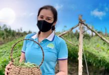 Mô hình cho thuê đất trồng rau Cần Thơ Eco Farm Mô hình cho thuê đất trồng rau ở Cần Thơ Eco Farm