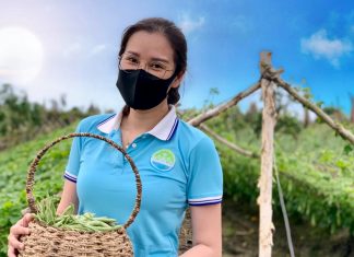 Mô hình cho thuê đất trồng rau Cần Thơ Eco Farm Mô hình cho thuê đất trồng rau ở Cần Thơ Eco Farm