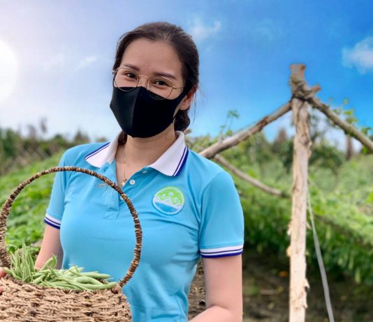 Mô hình cho thuê đất trồng rau Cần Thơ Eco Farm Mô hình cho thuê đất trồng rau ở Cần Thơ Eco Farm