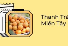 Thanh Trà Miền Tây – Đặc điểm và những thông tin cần biết Thanh trà miền Tây