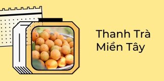 Thanh Trà Miền Tây – Đặc điểm và những thông tin cần biết Thanh trà miền Tây