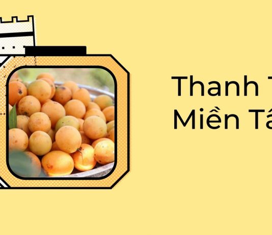 Thanh Trà Miền Tây – Đặc điểm và những thông tin cần biết Thanh trà miền Tây