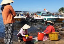 Thưởng thức hải sản Phú Quốc ở Hà Nội và TP Hồ Chí Minh siêu tốc trong ngày Hải sản Phú Quốc online