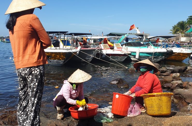 Hải sản Phú Quốc online