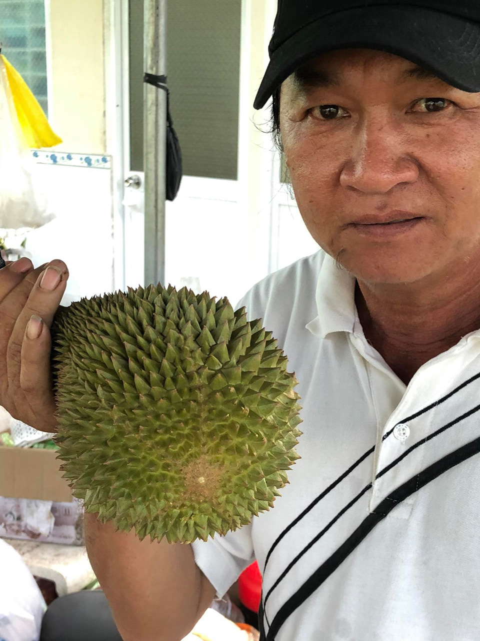 Khách hàng tham quan mua giống cây sầu riêng Musang King